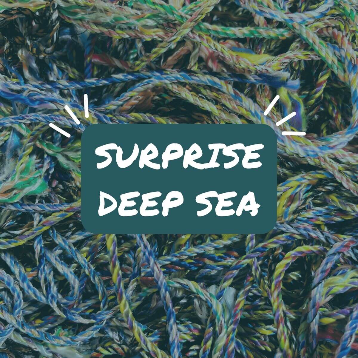 deep sea fishing net Surprise Deep Sea