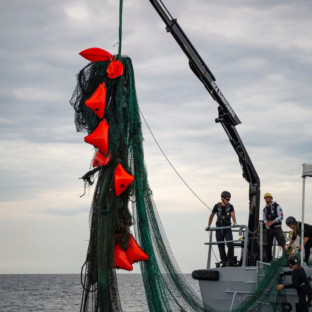 Bergungsfahrt von Sea Shepherd in der Ostsee, altes Geisternetz wird aus dem Meer gezogen