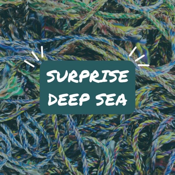 Surprise Deep Sea Armband von BRACENET wird auf einem Haufen von verschiedenen Seilen gezeigt