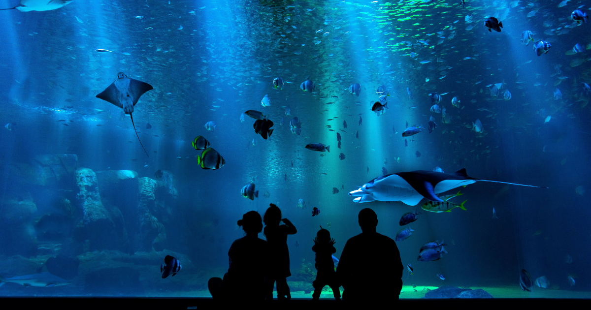 Menschen vor einem Aquarium