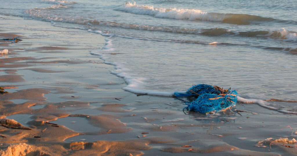 Blaues Bündel Dolly Ropes von Wellen an Strand gespült