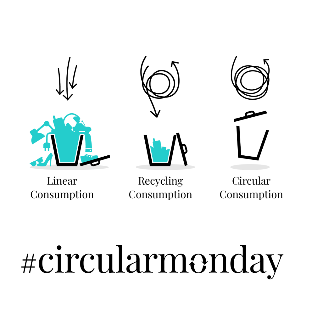 circular-monday-and-types-of-consumption