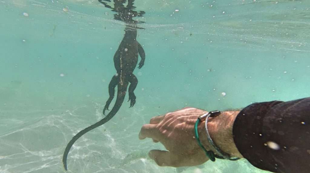 galapagos unterwasser bracenet hand