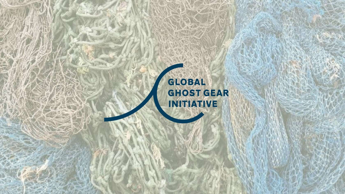 Global Ghost Gear Initiative – Eine globale Gemeinschaft gegen Geisternetze