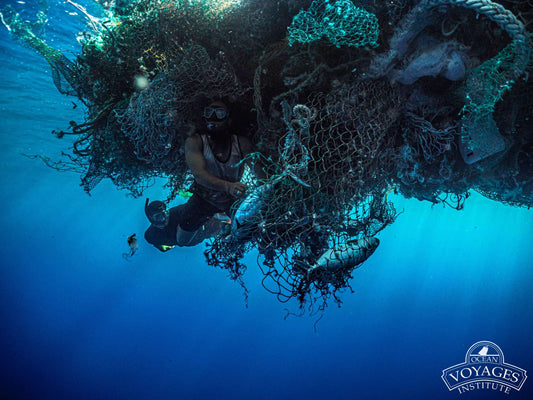 Der größte Müllstrudel: Das Great Pacific Garbage Patch