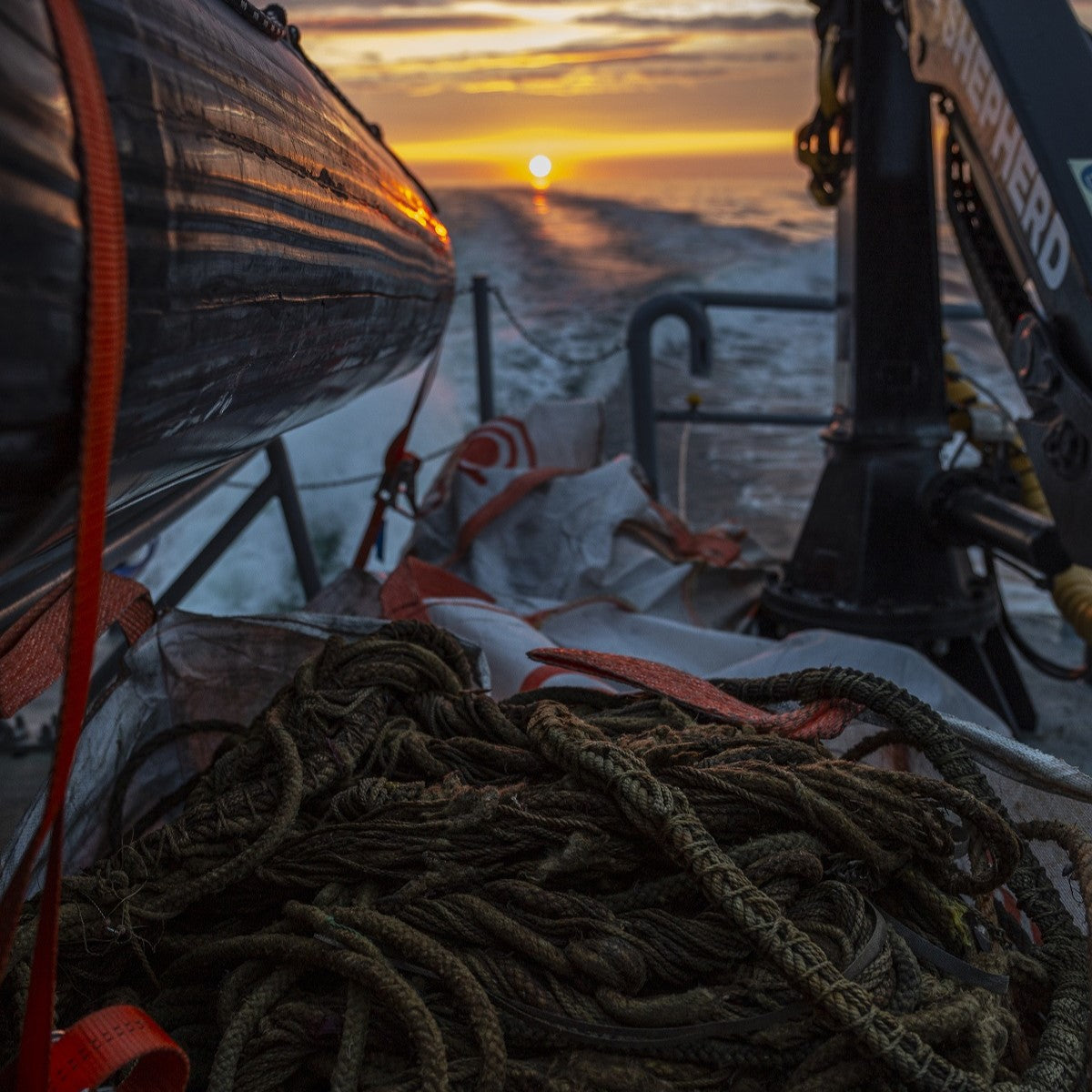 BRACENET X Sea Shepherd Baltic Sea Campaign 2024