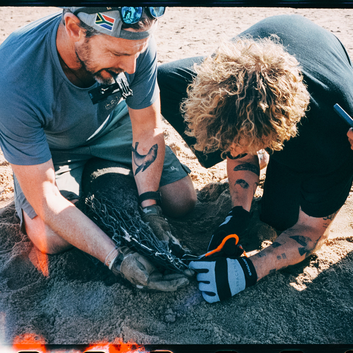 Malte Zierden schneidet am Strand gemeinsam mit einer weiteren Person eine Robbe aus einem Netz los.