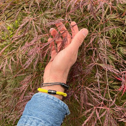 Person trägt das Sea Shepherd X BRACENET x humanvoll Armband aus schwarzen Fischernetzen mit schwarzem Magnetverschluss auf dem das Sea Shepherd Logo, das humanvoll Logo und das BRACENET Logo graviert sind am Handgelenk und hat die Hand in den Blättern eines Baumes