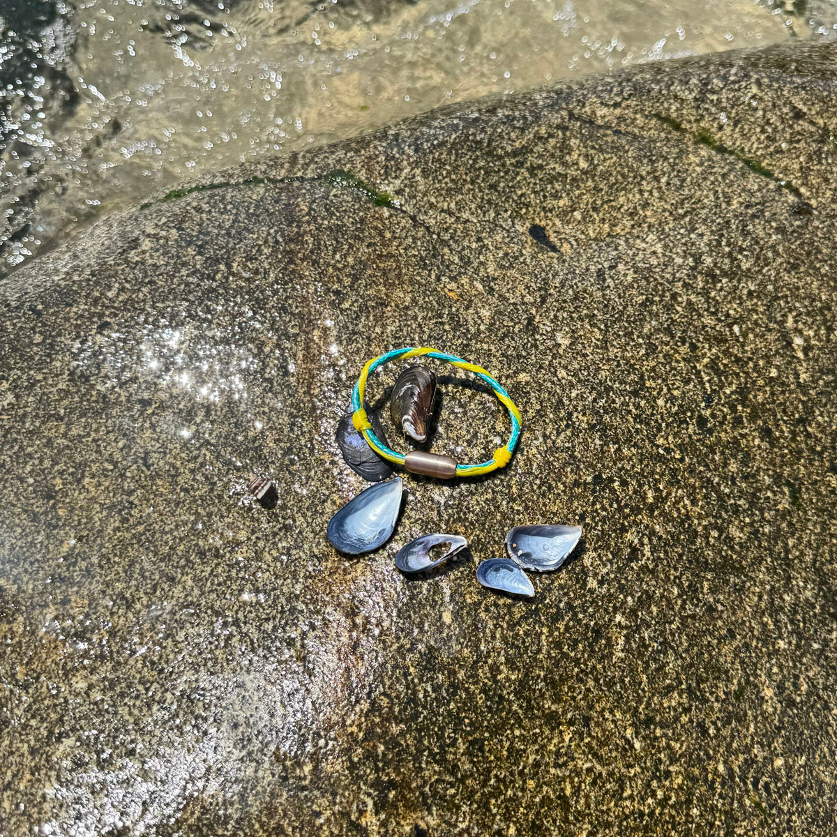 Mai Bracenet Mayotte's Lagoon aus Fischernetz in Hellblau und Gelb mit Knoten und mit Bajonettverschluss in Silber liegt auf einem Stein mit Muscheln. 