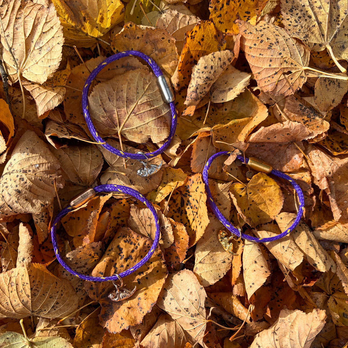 Im Laub liegen drei BRACENET Armbänder aus Fischernetz in Lila mit Magnetverschluss in Silber, Roségold oder Gold und einem Otter-Anhänger in Silber, Roségold und Gold. 