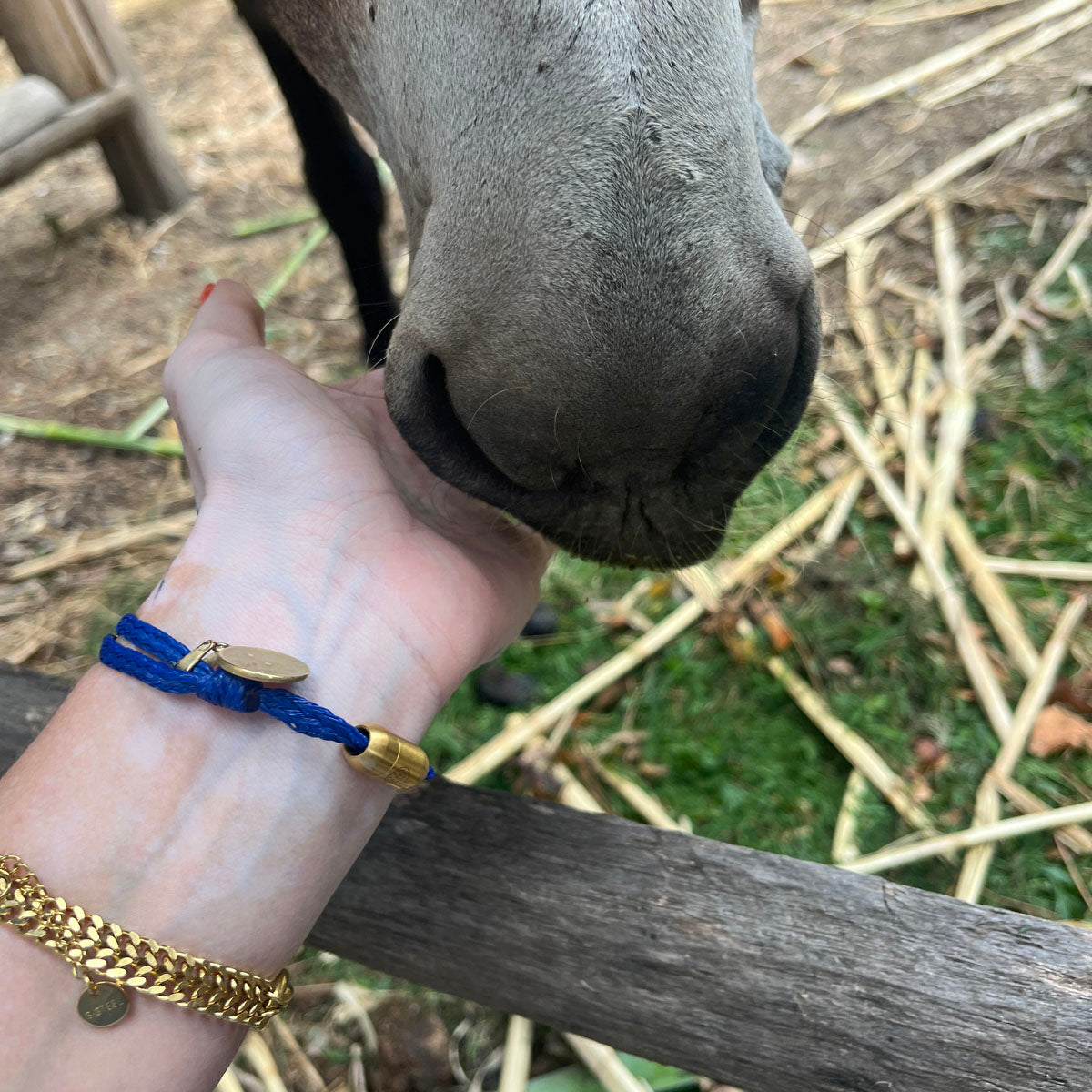 Sicilia, Sizilien Bracenet Bracelet aus Fischernetz in blau und gold mit Edelstahl Magnetverschluss und einem Medusa Anhänger am Handgelenk mit Pferd 