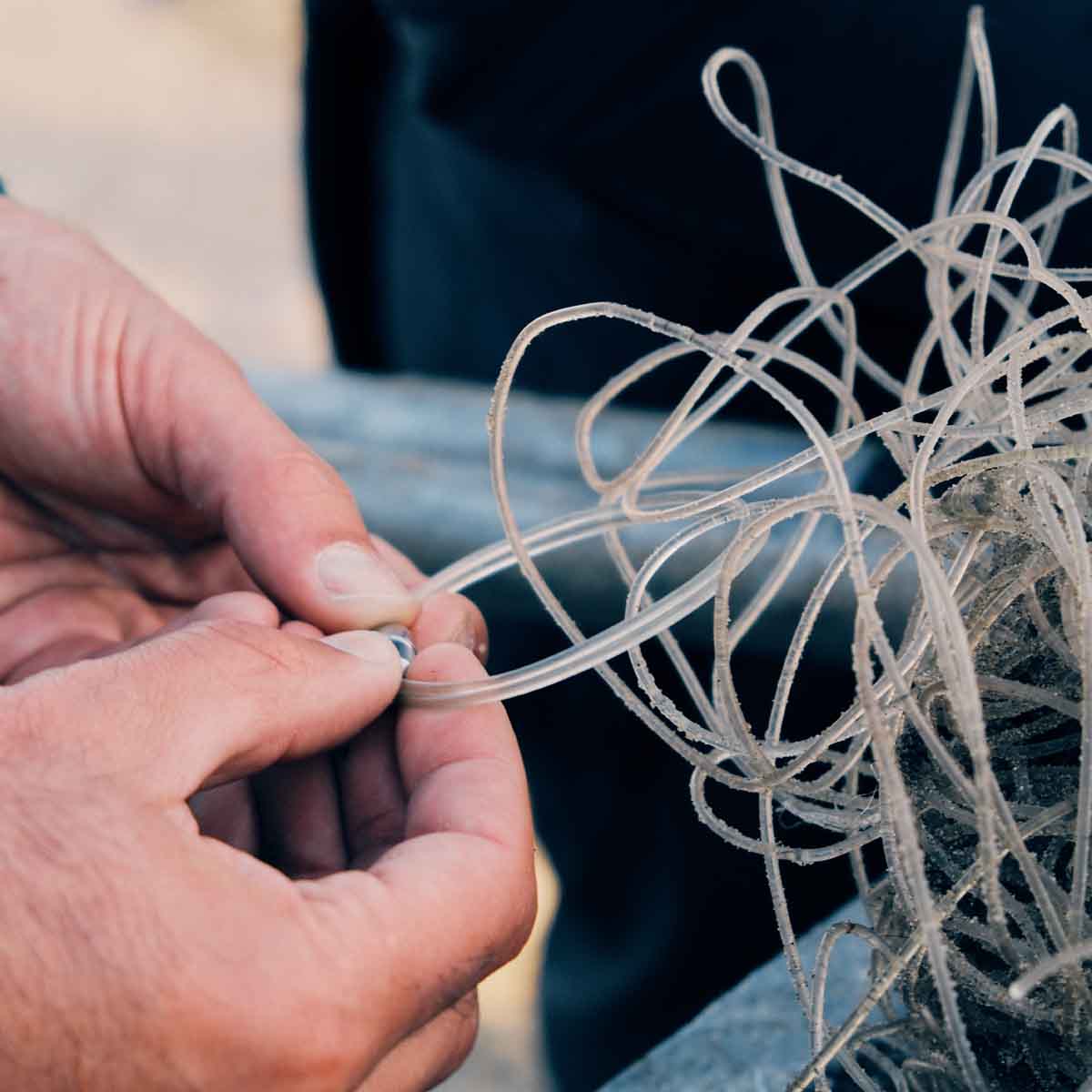 Person befestigt das Alles für die Tiere immer - Robbe "Walvis" Armband aus transparenten Langleinen von BRACENET mit Drehverschluss in silber und "Alles für die Tiere, immer" Gravur mit Robben-Motiv an einem Stück unverarbeitetem Netz. 