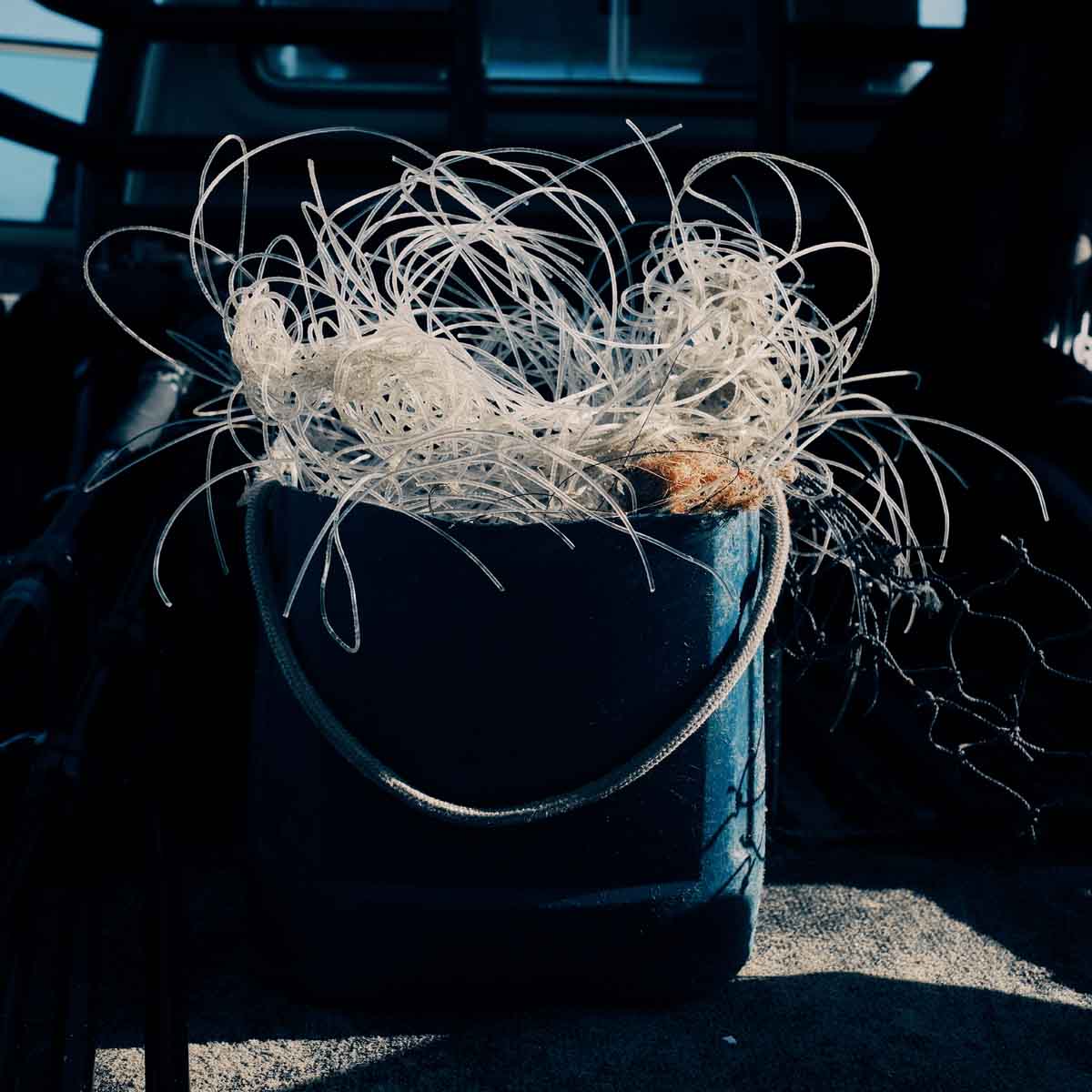 Die transparenten Langleinen stehen in einem großen Eimer auf der Ladefläche eines Autos. 