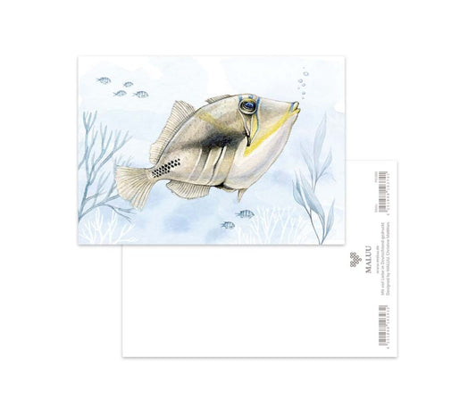 Postcard - Picasso Triggerfish