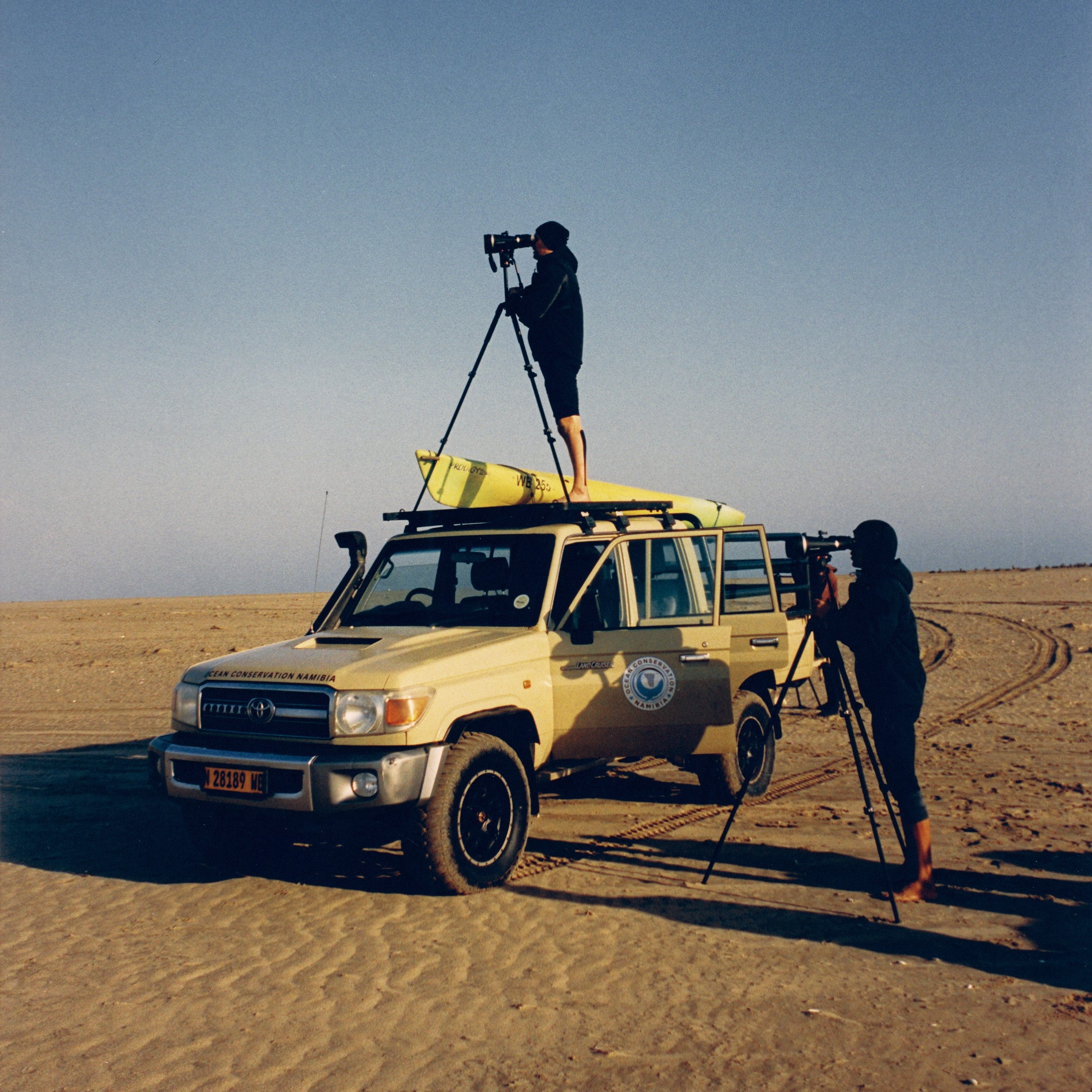 Die NGO Ocean Conservation Namibia stehen am Strand von Namibia und beobachten die Robben aus der Ferne, ob sie von Fischernetzen gefährdet sind