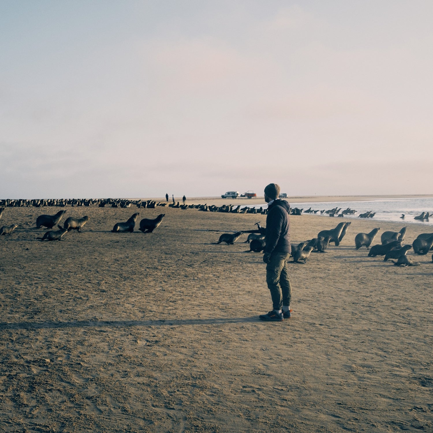 Die Ocean Conservation Namibia steht am Strand und beobachtet die Robben, ob sie von Fischernetzen gefährdet sind