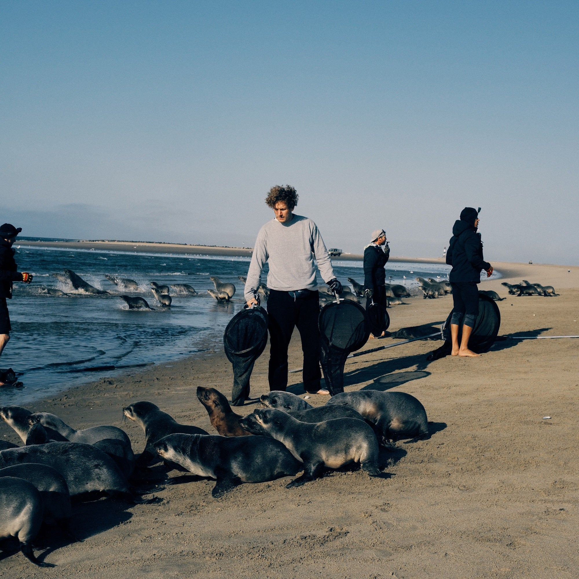Malte Zierden steht mit der OCN am Strand von Namibia und beobachtet die Robben, ob sie von Fischernetzen gefährdet sind