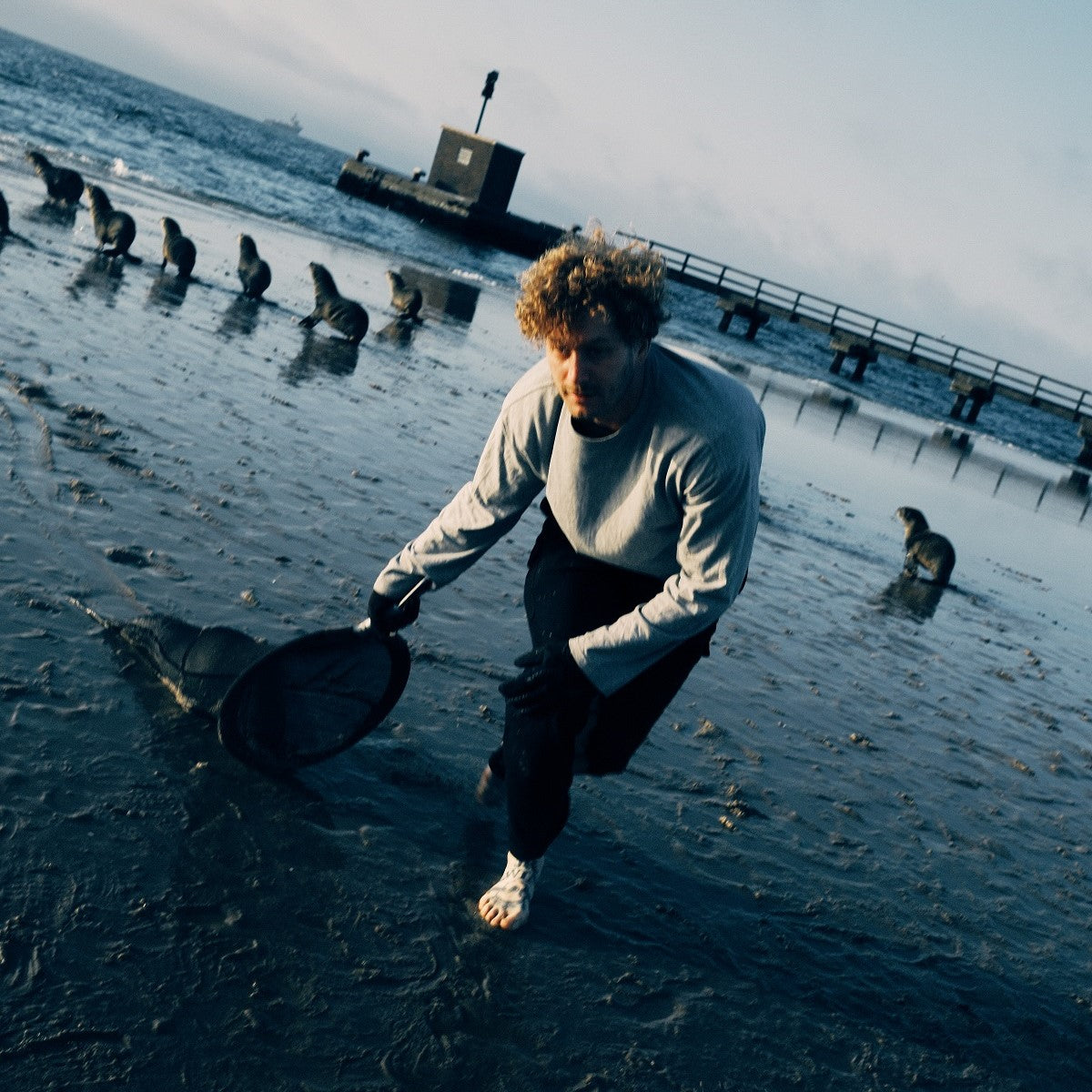 Malte Zierden zieht am Strand von Namibia eine eingefangene Robbe aus dem Wasser, um sie von Fischernetzen zu befreien