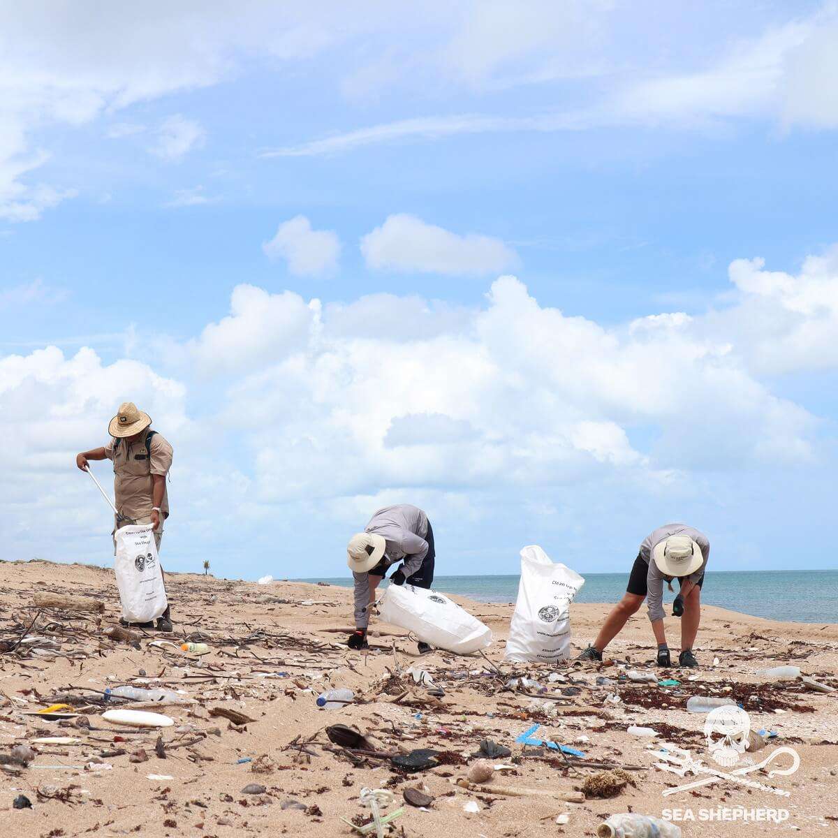 Sea Shepherd Australia x Gulf of Carpentaria Bracenet