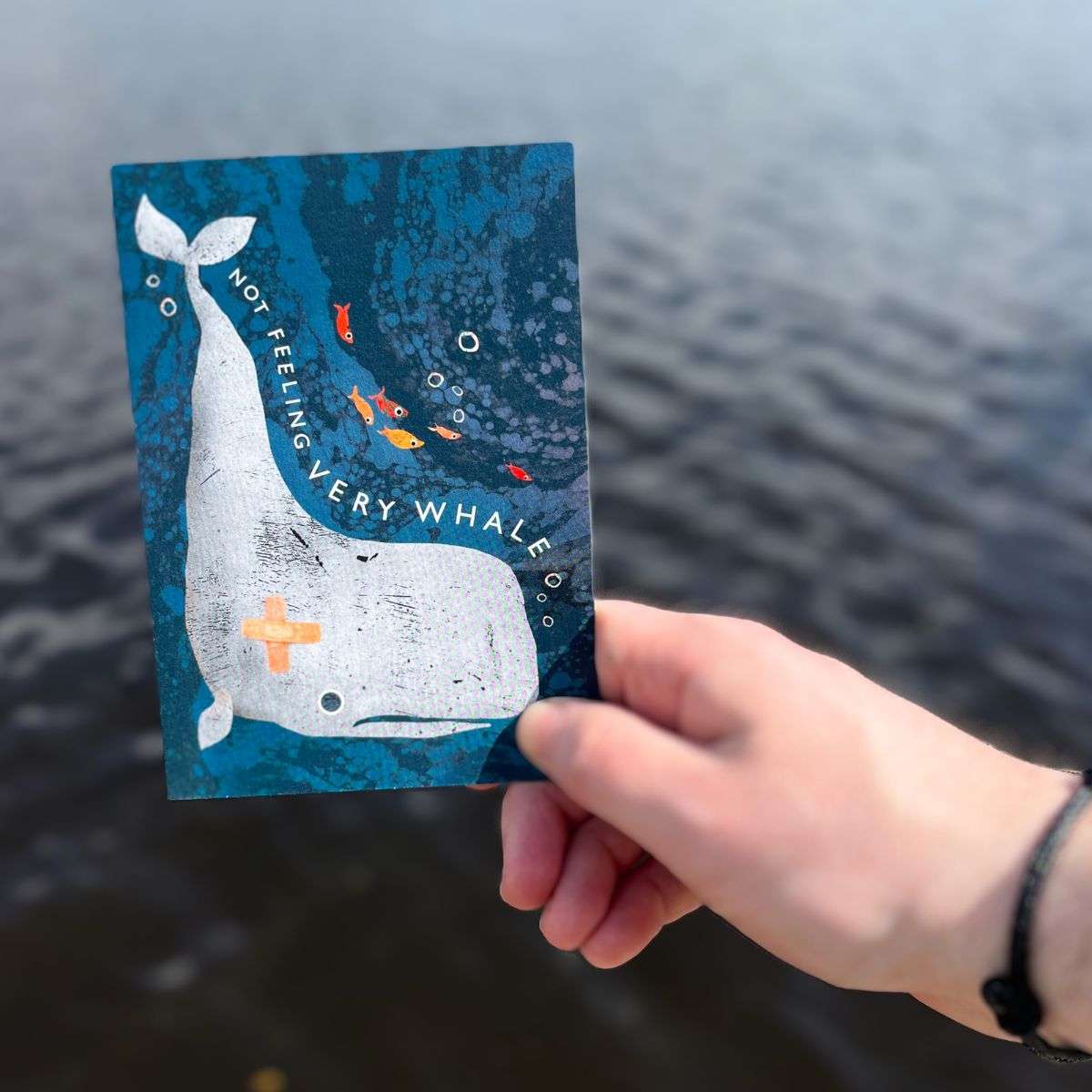 Postcard - Not feeling very whale