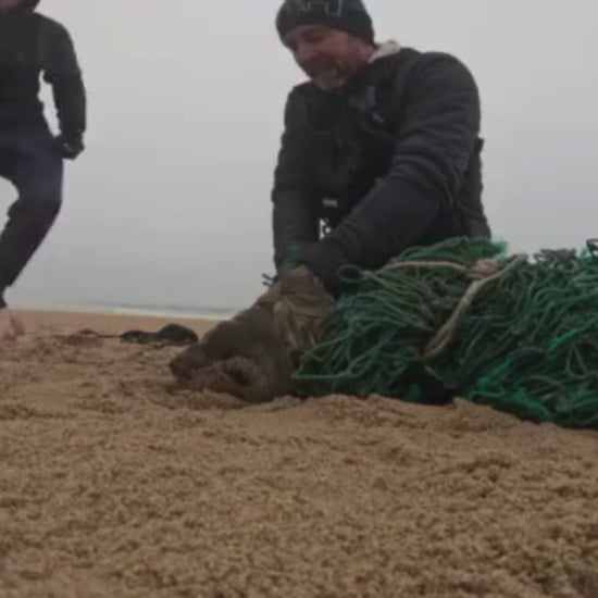 Video in dem die Robbe aus dem grünen Fischernetz befreit wird, aus dem das Bracenet gefertigt wurde.