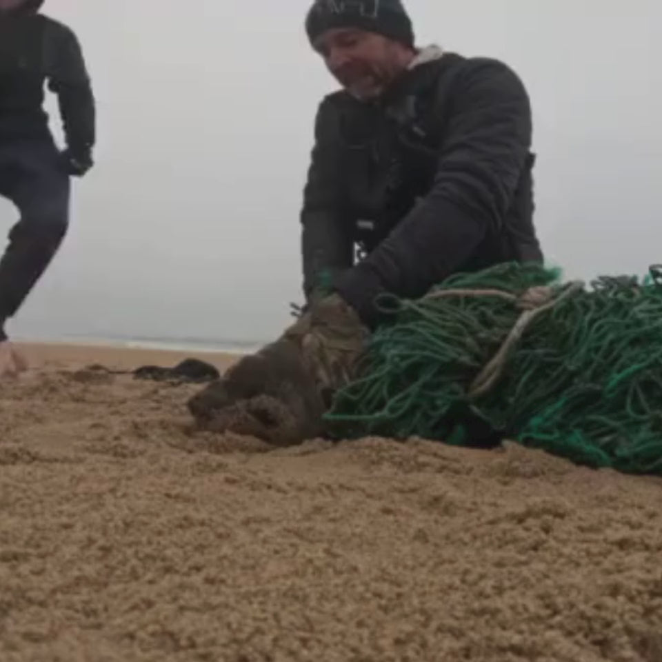 Video in dem die Robbe aus dem grünen Fischernetz befreit wird, aus dem das Bracenet gefertigt wurde.