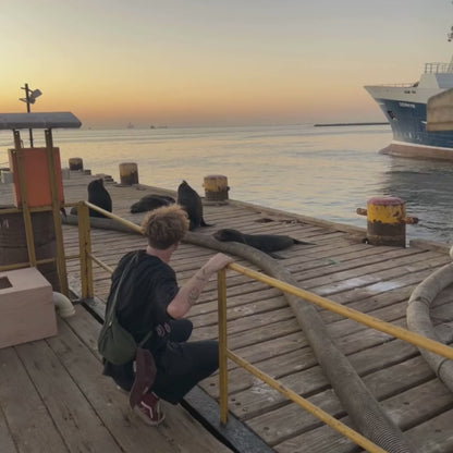 Tout pour les animaux « Mer Ionienne » – taille réglable avec fermeture